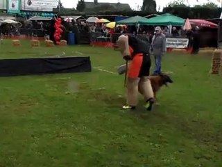 K'Marco CH NVBK 2011