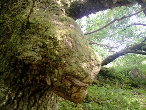 La porte est en dedans