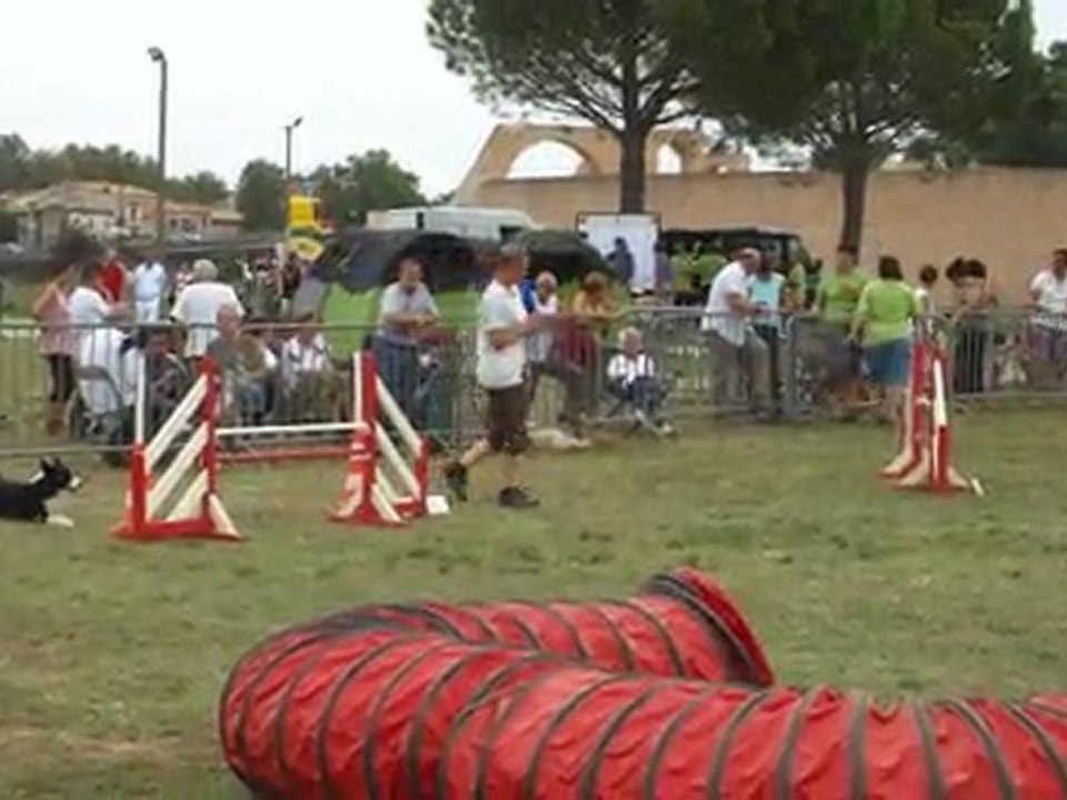 Elis Jumping Trebes 110911