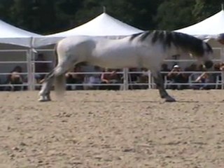 Frédérique Pignon (3)