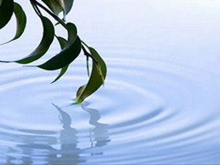 MAHER ZAIN - THANK YOU ALLAH - OYESAN DINO MAGKASI - MusicVideo with Online Lyrics