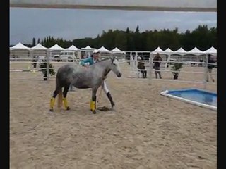 la cense 2011 equifeel