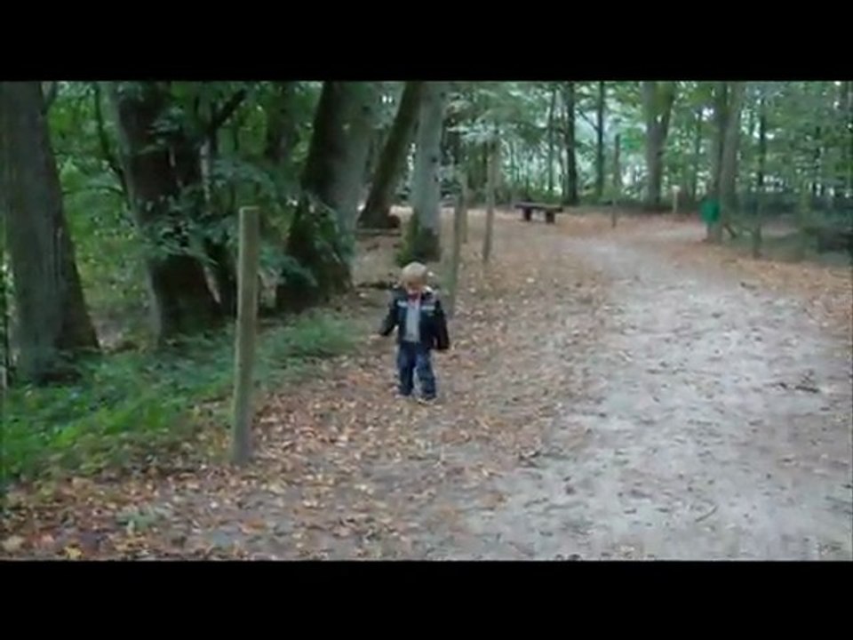 Visite au parc des félins