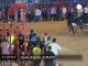 Ratón, le taureau star des corridas en Espagne - no comment