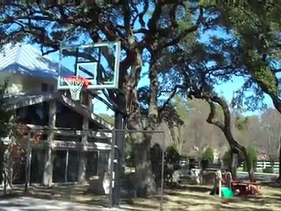 Live Oaks in Georgetown, Texas |