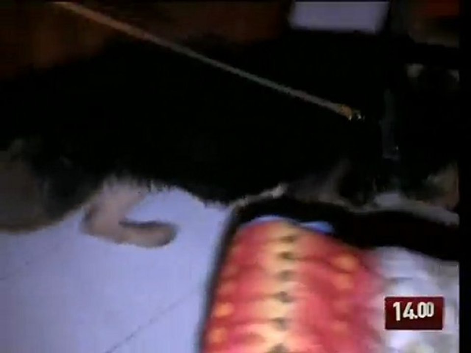 TG 09.03.10 Tentata estorsione a Nardò, quattro in manette