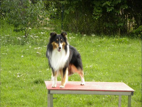 Concours Aout-Septembre 2011