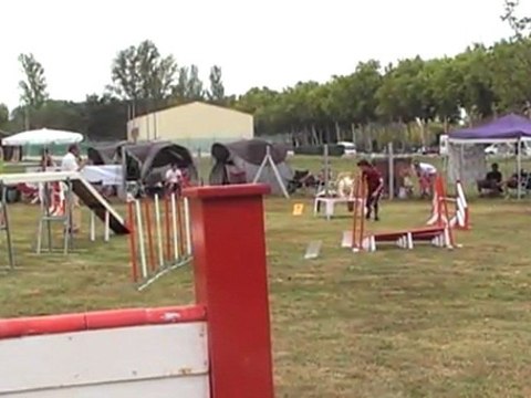 isle jourdain 110911-CERISE DEGRE