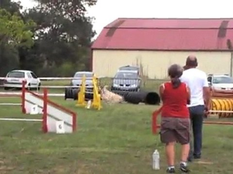 isle jourdain 110911-CERISE JUMPING