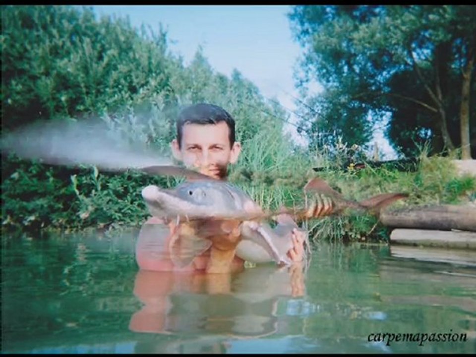 Pêche à la Carpe, Esturgeon - Carpemapassion - NOKILLUS Août 2010- Carp fishing and sturgeon