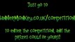 Competition -- The Launch of Banner Monkey`s Personalised Banners Site