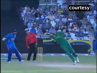 Steyn grabs 5 scalps