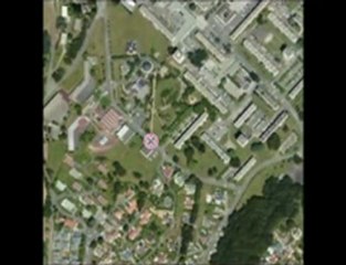 DOJO VU DU CIEL - AMM KARATE CLUB