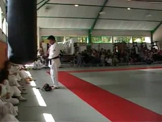 jujitsu vernou sur Brenne