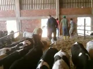 HAZER EMLAK TEL: 0546 851 6657  SATILIK ŞAROLE