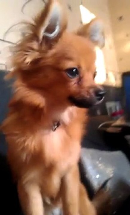 VIDEO0038
