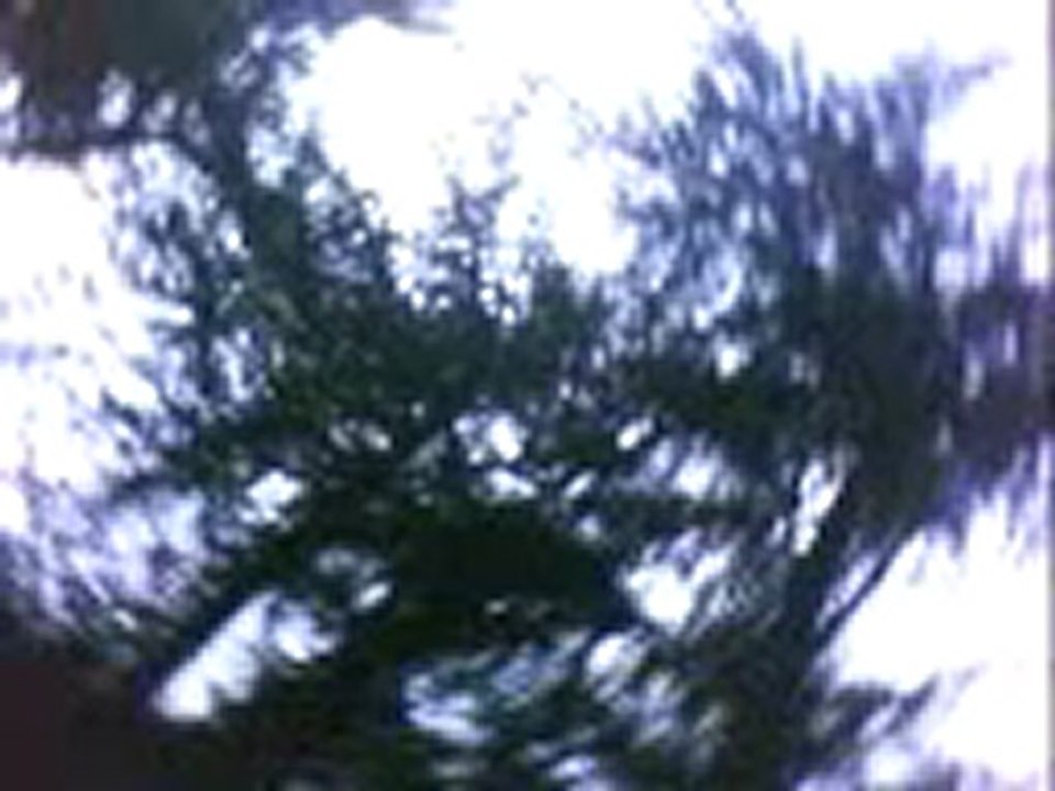 Hymnes et nature