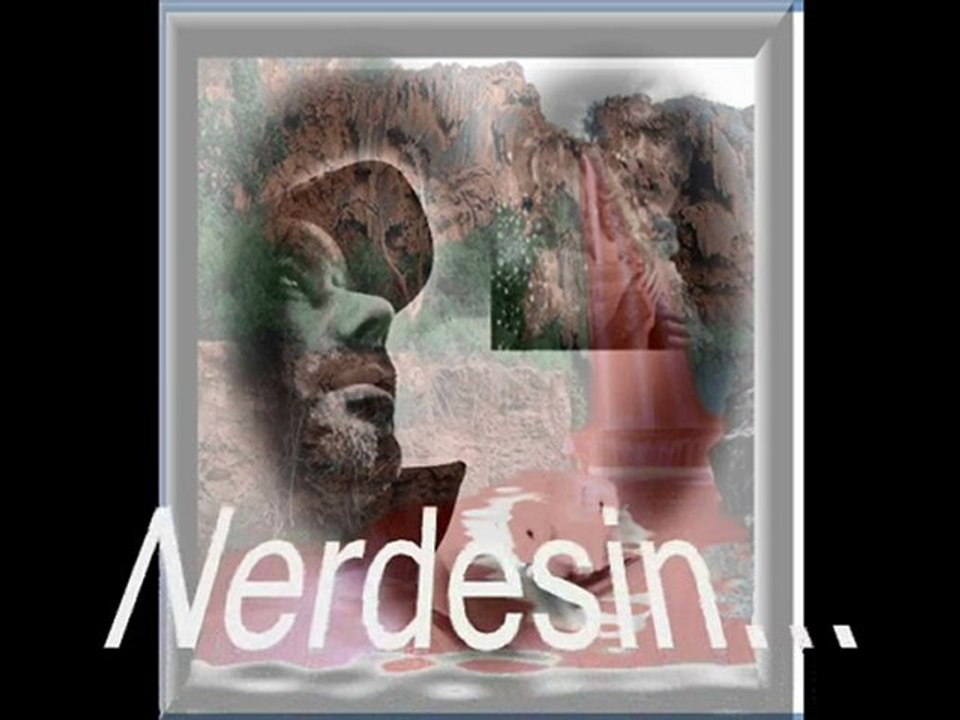 Hasan Selcuk Birdal-Nerdesin