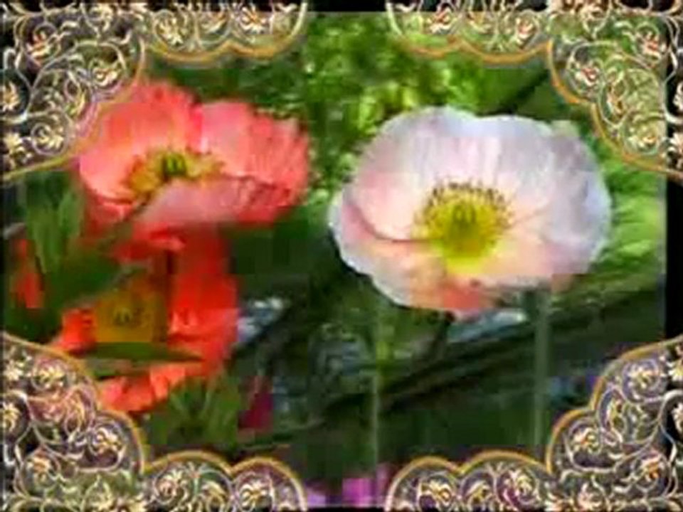 Hz. Musa kıssası: Hz. Musa'nın doğumu ve erginlik çağına ulaşması