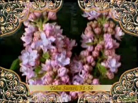 Hz. Musa kıssası: Hz. Musa'nın Firavun'a tebliği