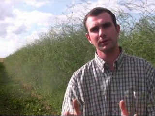 Arnaud Gombart producteur d'asperges à Sancourt