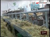 TG 27.07.10 Taranto, metalli pesanti nei polmoni dei bovini