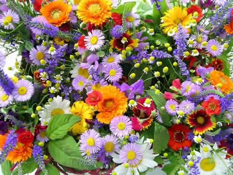 Ой заграли музики (Oh musicians played) - Ukrainian folk song by Dzhazova fira