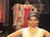 Hot Babes Galore Shows Their Assets At IIJW Grand FInale 2011