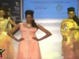 Gorgeous Babes Walk On Ramp At IIJW Grand FInale 2011