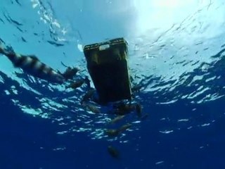 İnsanlar ve denizler HQ (Mustafa Dinç)