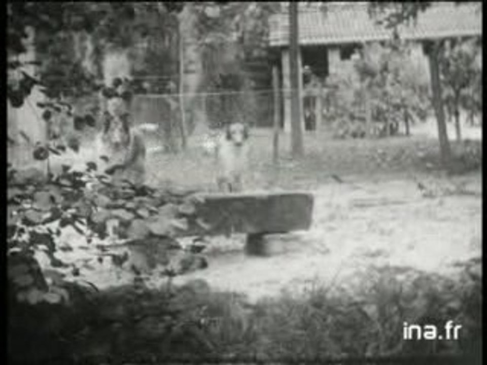 au moulin de Dannemois