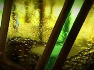 Les escapades de Petitrenaud 03 09 2011