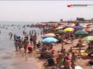 TG 23.08.11 Assennato: "Attenti all'alga tossica, soprattutto sugli scogli"