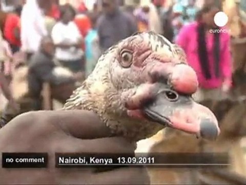 Explosion d'un oléoduc au Kenya : Les... - no comment