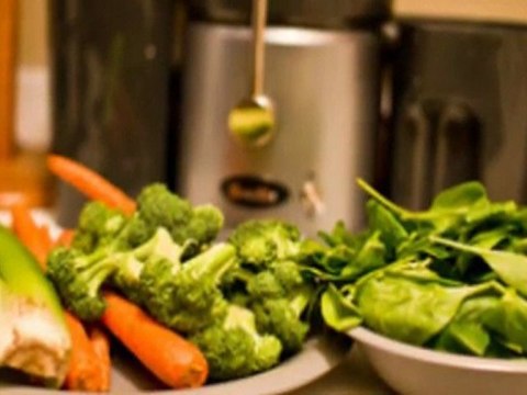 Breville JE900 Juice Fountain Professional Juice Extractor