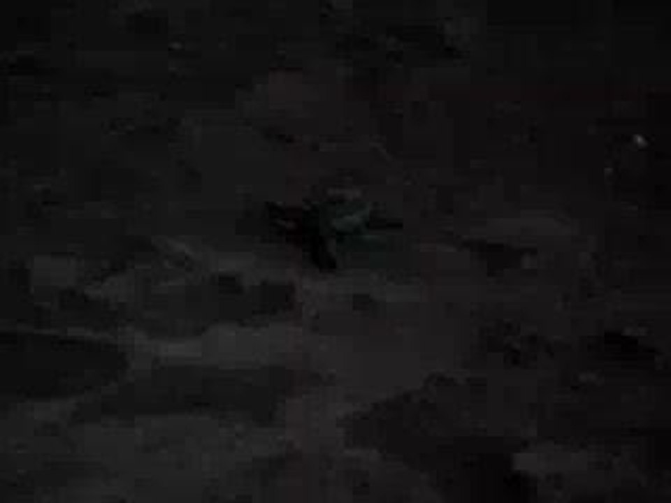 Eclosion tortue 3