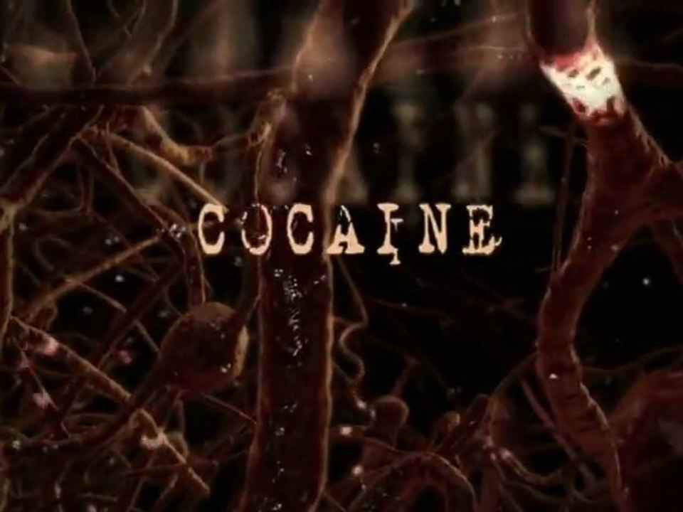 How Drugs Work. Cocaine