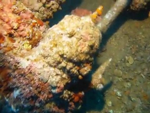 plongee cavalaire epave togo deep CCR Tartiflette Team