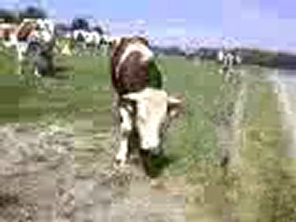 Vidéo-0002