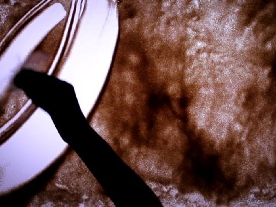 Uncharted 3: La Traición de Drake  (PS3)