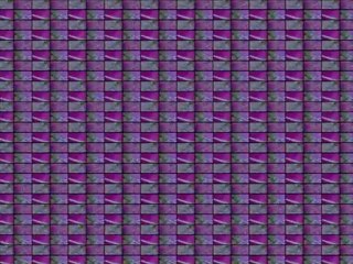 Le nouveau corps humain (1/4)