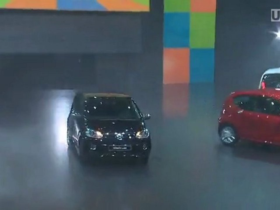 VW-Group: Driving Diversity