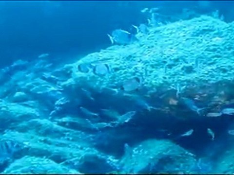 VRAC DE PLONGEURS PORT DE LA SELVA