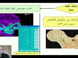 كيفية عمل برامج كمبيوتر بهدي القرآن