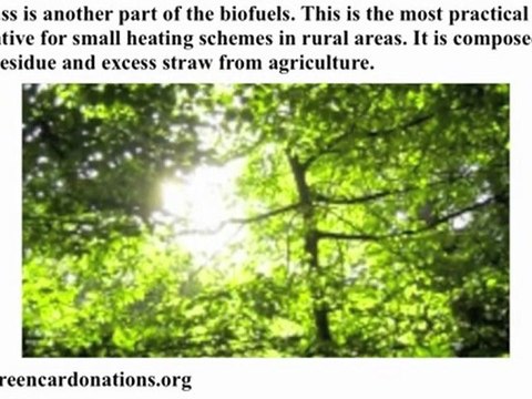 Biofuels | The Different Types of Biofuels Available to Us