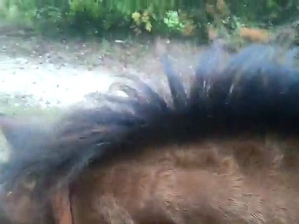 Expédition Blagounette!!! mdr ;D