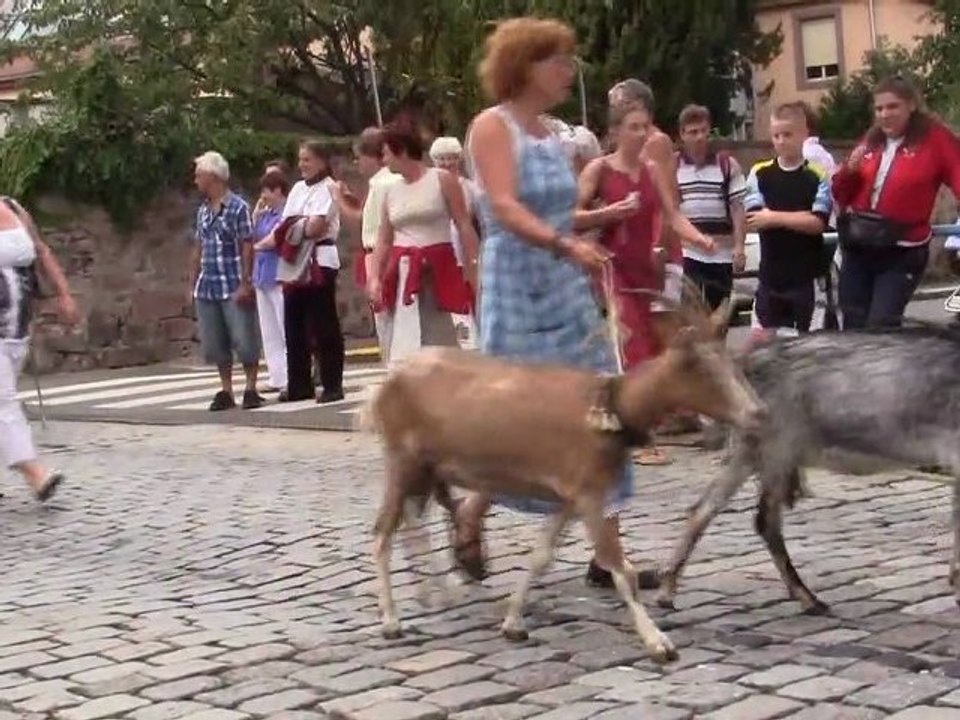 Transhumance 2011