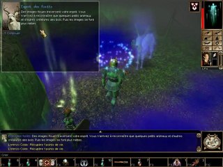 Neverwinter nights 79 l'Esprit de la foret
