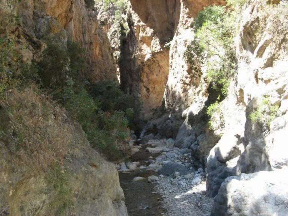 Sarakinas