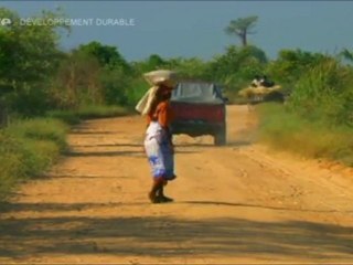 Docu_Arte_Les derniers de leur espèce - L'aye-aye by night_Mar 05 avr 2011